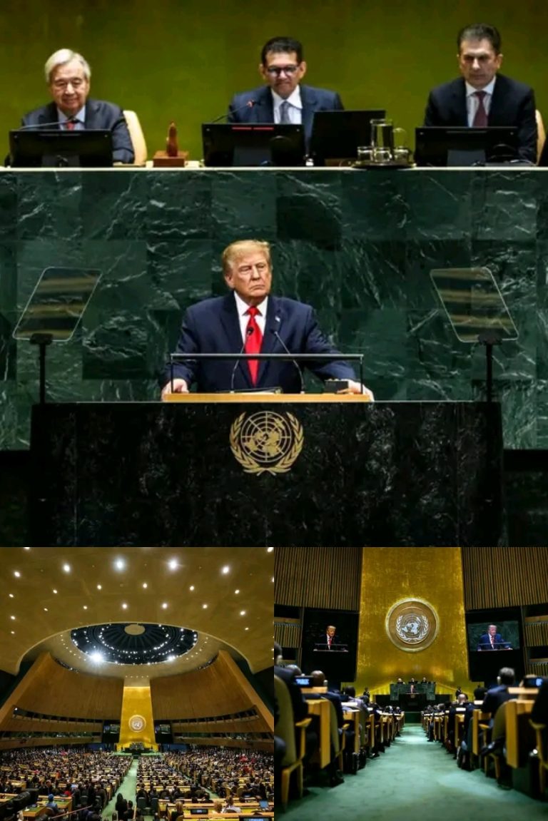 1001317151.jpg